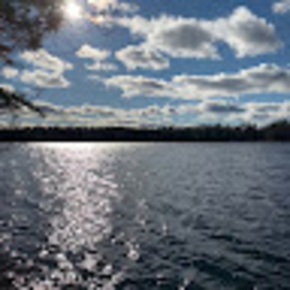 Meet your Posher, Warren - Picture 1 of 1